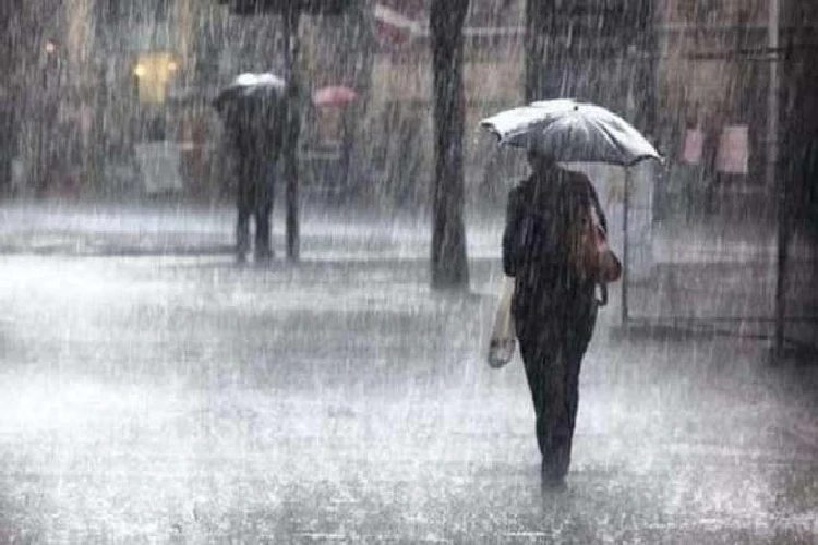 প্ৰতিনিধিত্বমূলক ছবি