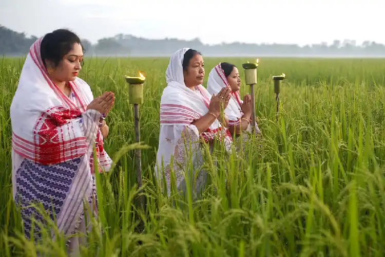 কাতি বিহুৰ দিনা অসমীয়া ৰাইজে পথাৰত চাকি জ্বলোৱা এক দৃশ্য