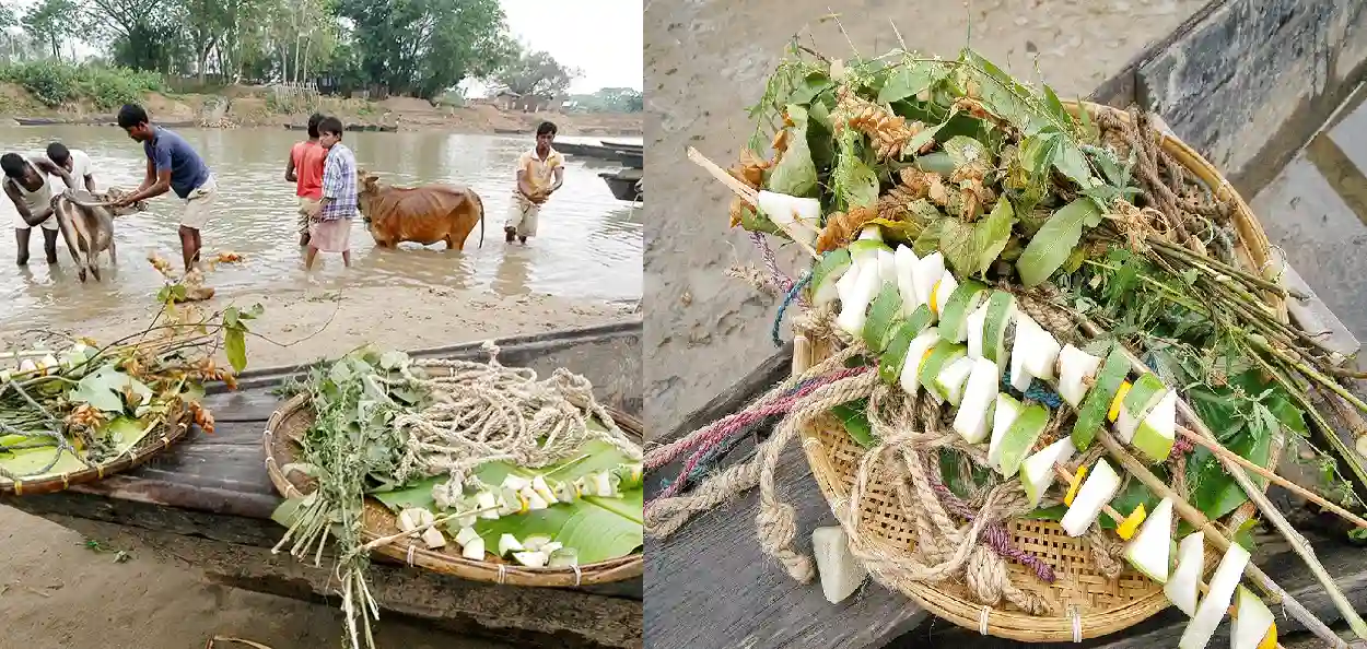 ইতিহাস প্ৰসিদ্ধ কুকুৰ মাৰা ছয়গাঁও অঞ্চলৰ ৰাইজে কলহি নদীত গৰুবিহুৰ দিনা কাহিলী পুৱাতে গৰুক গা ধুওৱাৰ দৃশ্য (ছবি: চামচুল হুদা পাটগীৰি)