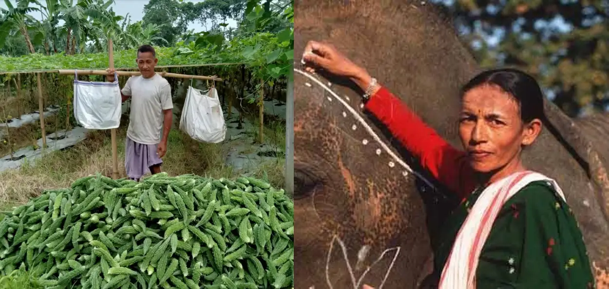 সৰ্বেশ্বৰ বসুমতাৰী আৰু পাৰ্বতী বৰুৱা