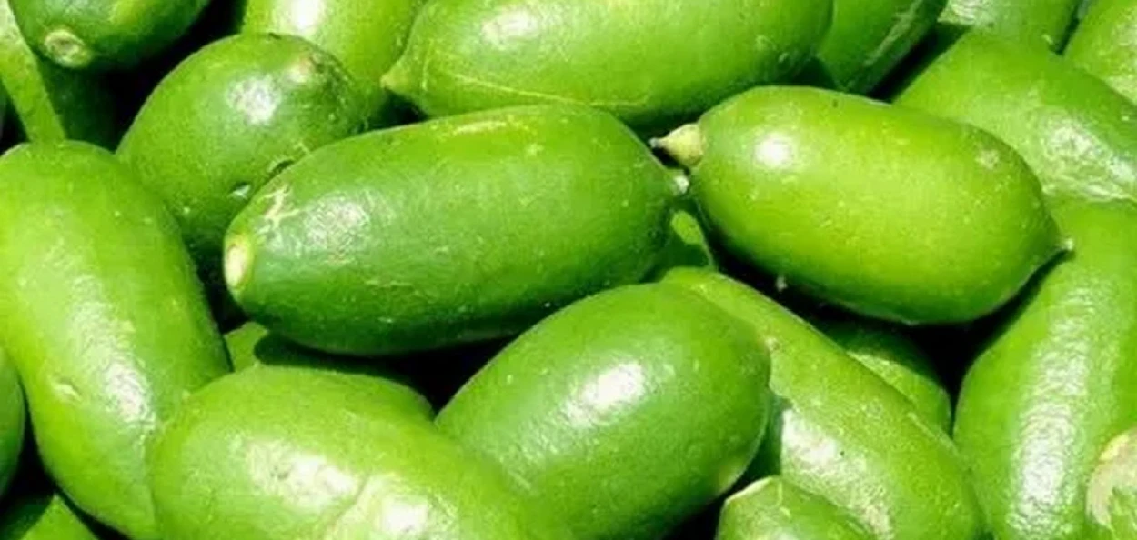 কাজি নেমু