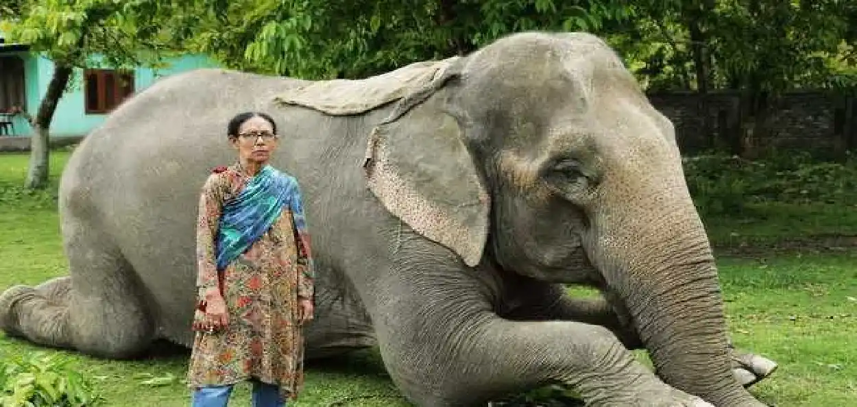 'হস্তী কন্যা' পদ্মশ্ৰী পাৰ্বতী বৰুৱা 