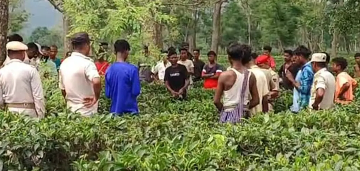 কন্দলী চাহ বাগিছাত যুৱকৰ মৃতদেহ উদ্ধাৰ