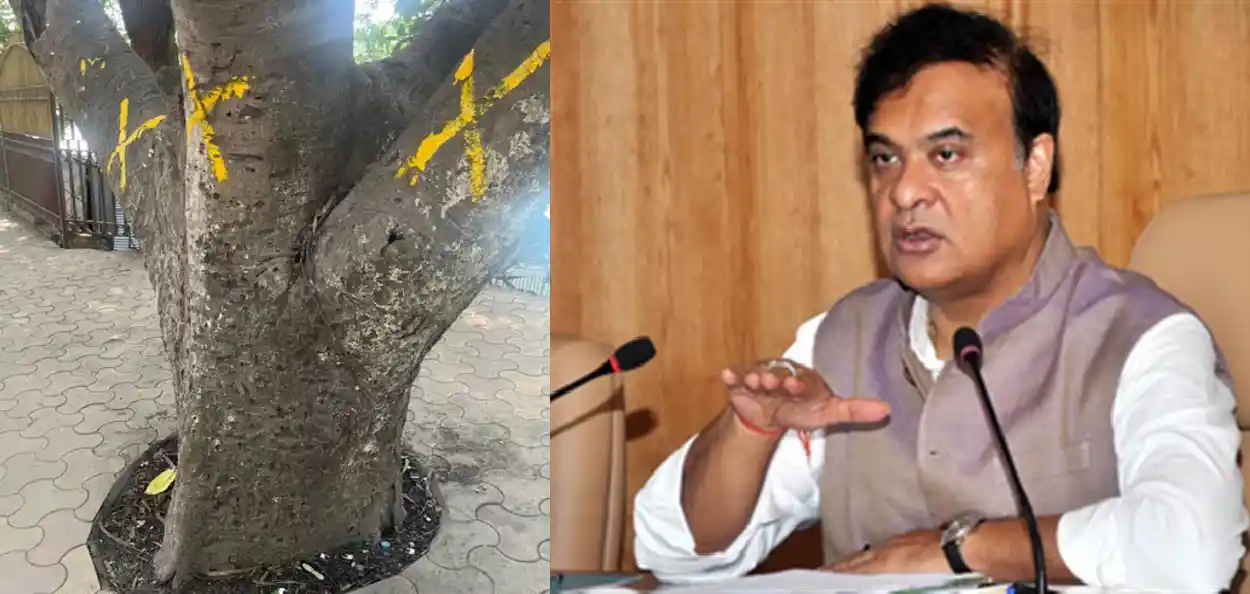  হালধীয়া ৰঙৰ ক্ৰছে চিনেৰে চিহ্নিত কৰা গছ আৰু মুখ্যমন্ত্ৰী হিমন্ত বিশ্ব শৰ্মা