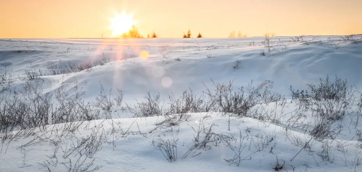 মৰুৰ দেশ ছৌদি আৰৱত বৰফৰ দলিচা