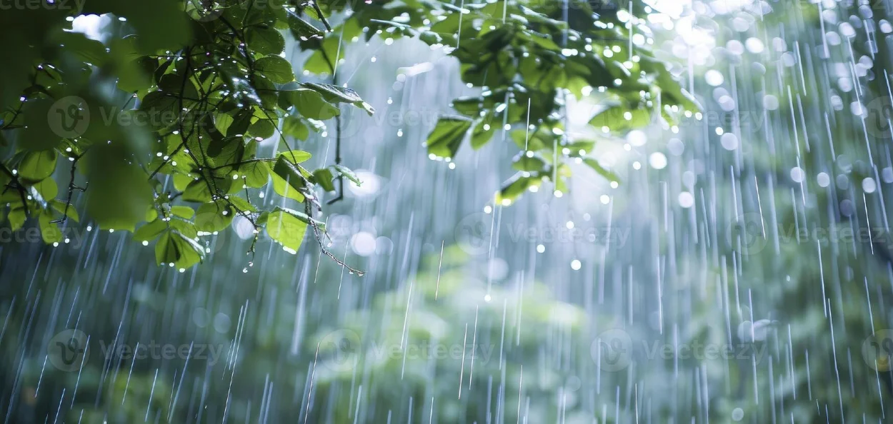 ৬০ শতাংশ বৰষুণৰ পৰিমাণ হ্ৰাস দেশৰ ৮ খন ৰাজ্যত