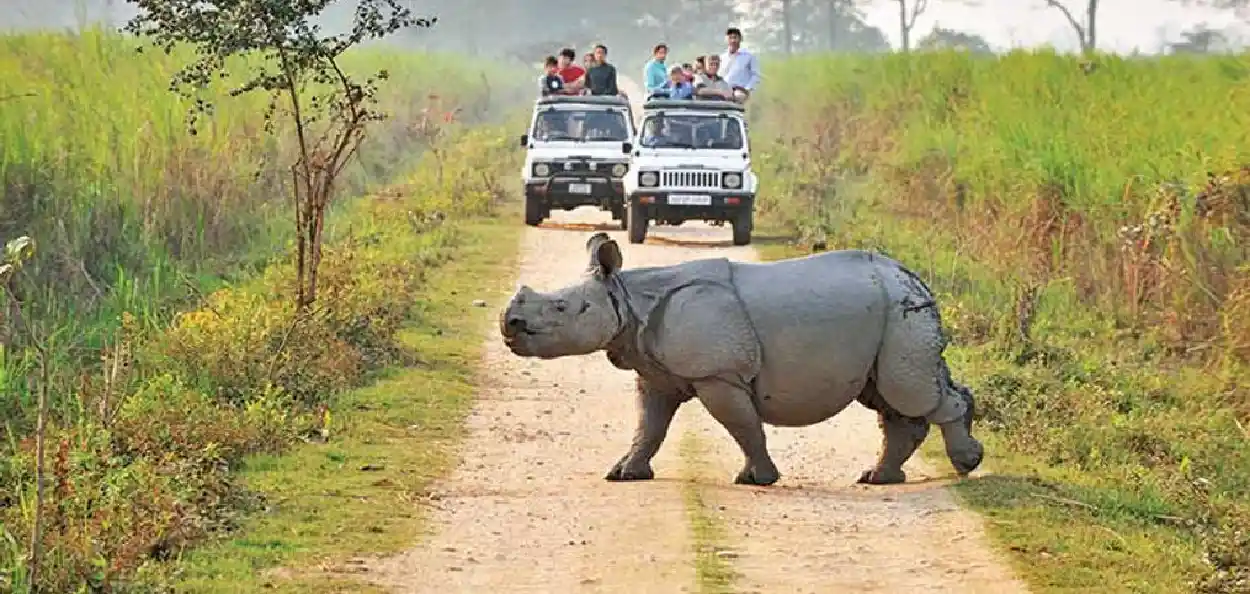 কাজিৰঙা ৰাষ্ট্ৰীয় উদ্যান