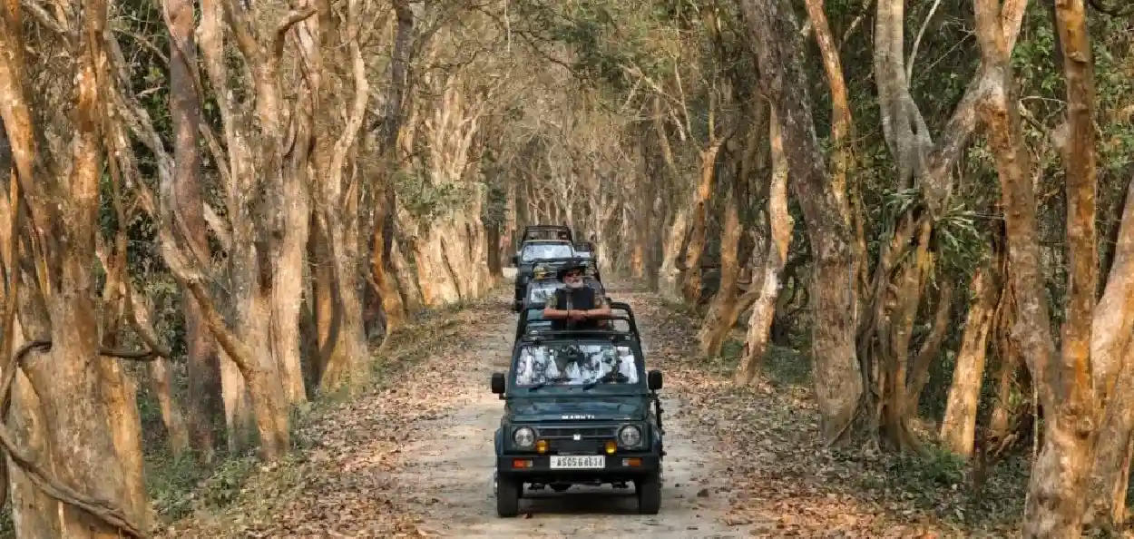 প্ৰতিনিধিত্বমুলক ছবি