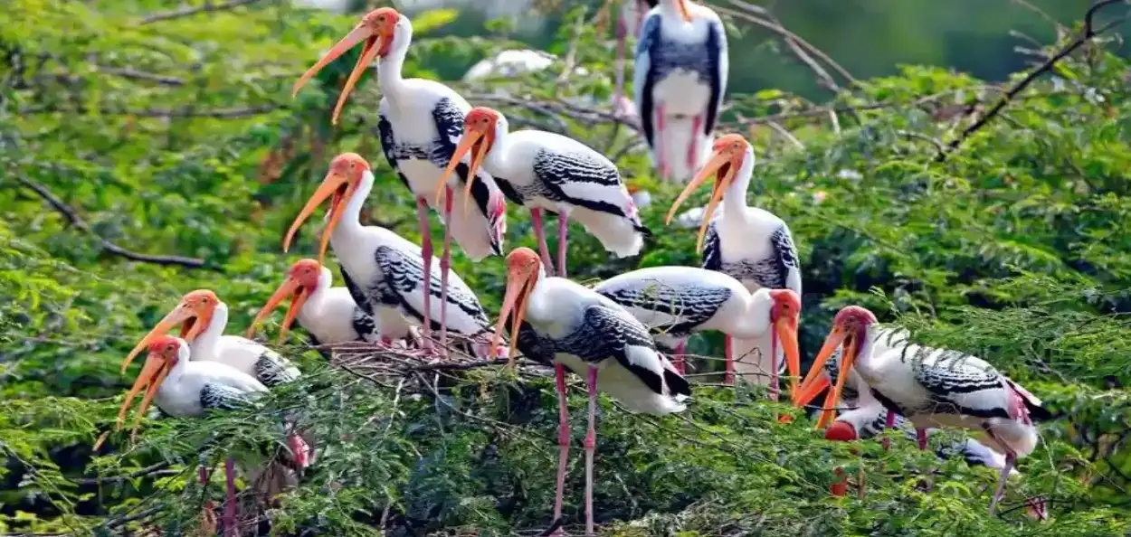 প্ৰতিনিধিত্বমূলক ফটো