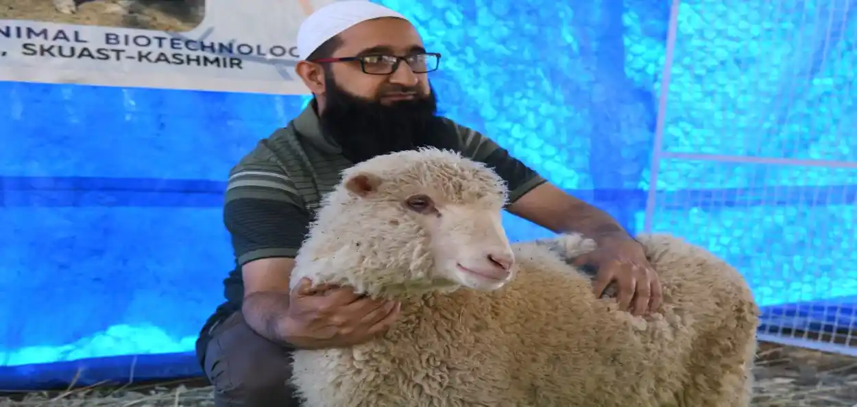 আধুনিক প্ৰযুক্তিৰে তৈয়াৰ কৰা হৈছে ভৱিষ্যতৰ ভেড়া 