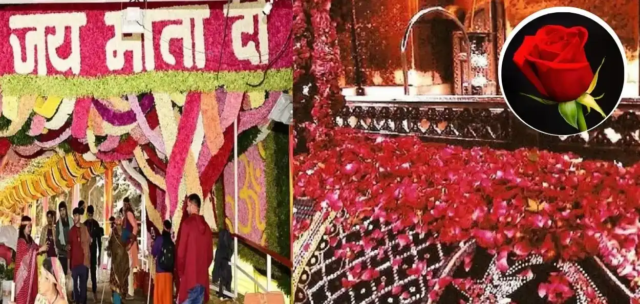 প্ৰতিনিধিত্বমূলক ফটো