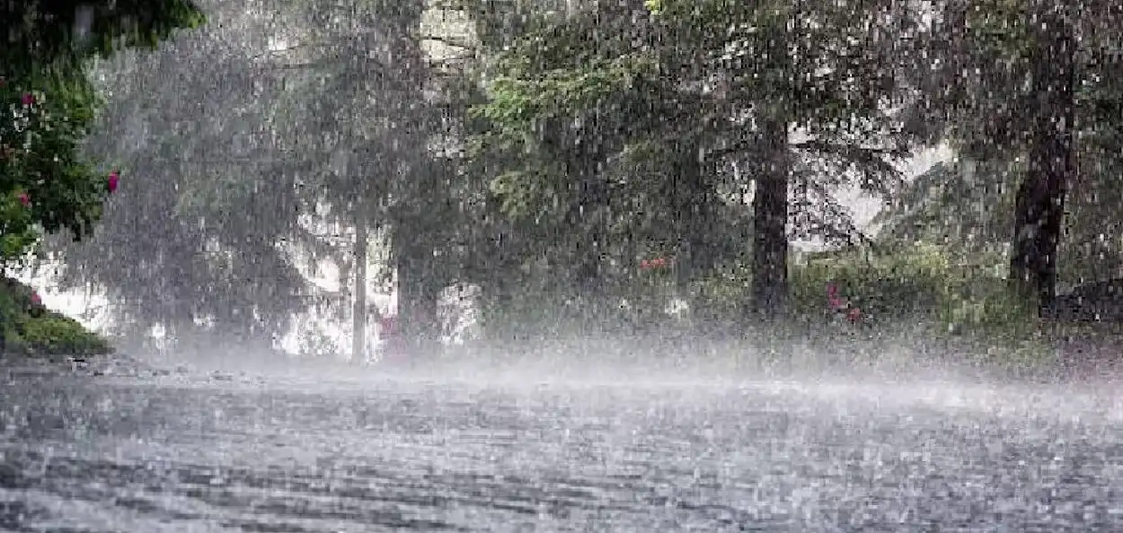 প্ৰতিনিধিত্বমূলক ছবি