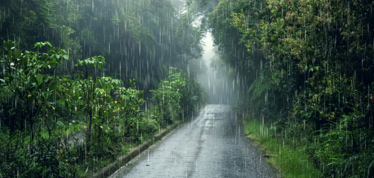 অনাগত ৫ দিনলৈ ৰাজ্যত হ’ব ধাৰাসাৰ ধুমুহা-বৰষুণ