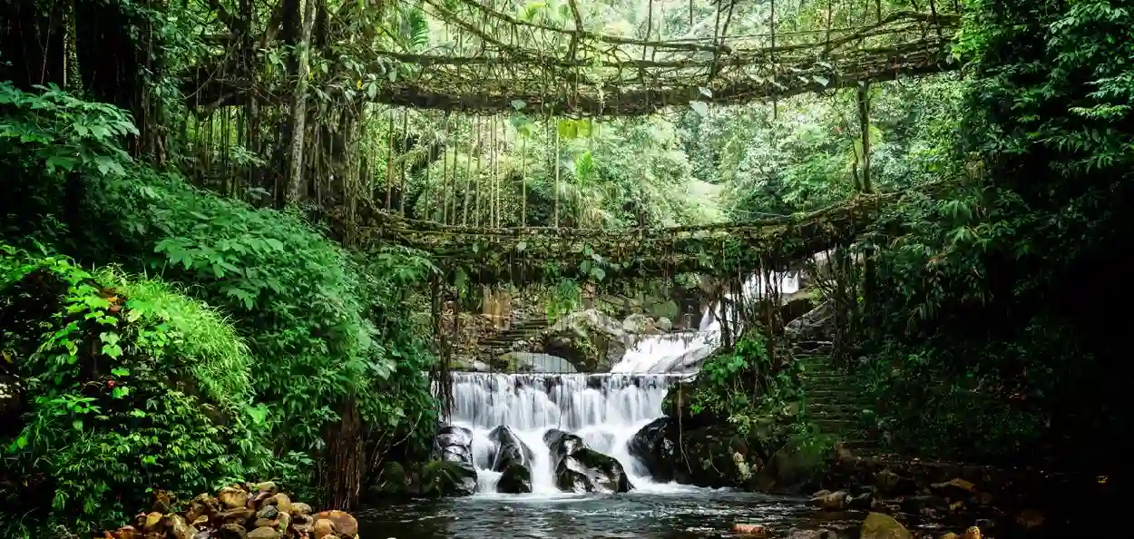 প্ৰতিনিধিত্বমুলক ছবি