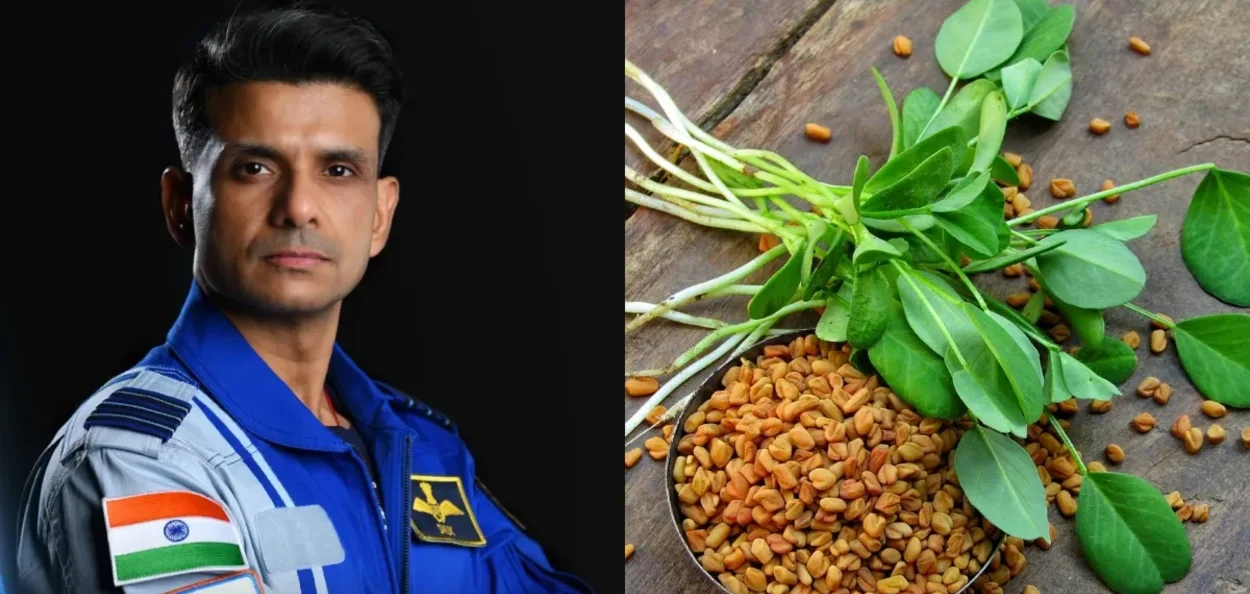 মহাকাশত মেথি শাক-মগুৰ বীজ ৰোপণ কেপ্তেইন শুভাংশু শুক্লাৰ