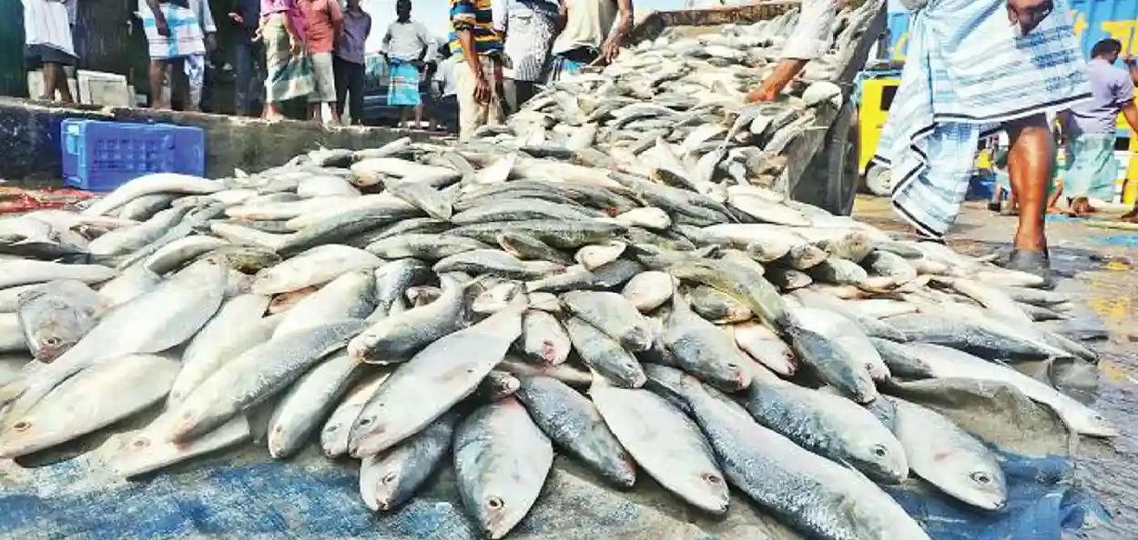 প্ৰতিনিধিত্বমুলক ছবি