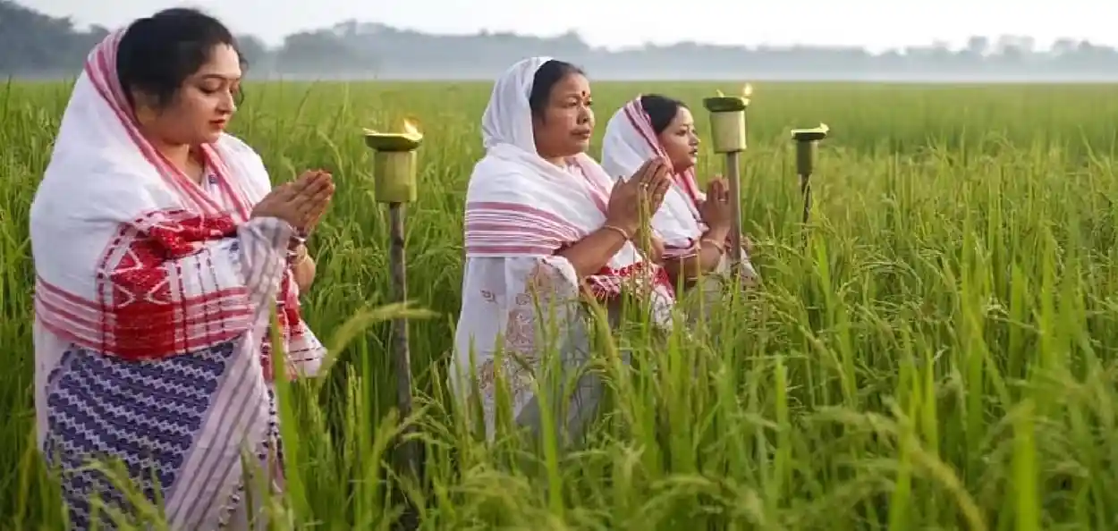 কাতি বিহুৰ দিনা অসমীয়া ৰাইজে পথাৰত চাকি জ্বলোৱা এক দৃশ্য