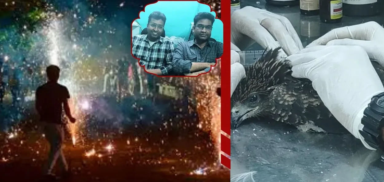 দীপাৱলীত আহত চৰাইৰ চিকিৎসাৰ বাবে সাজু নাদিম আৰু ছাউদ