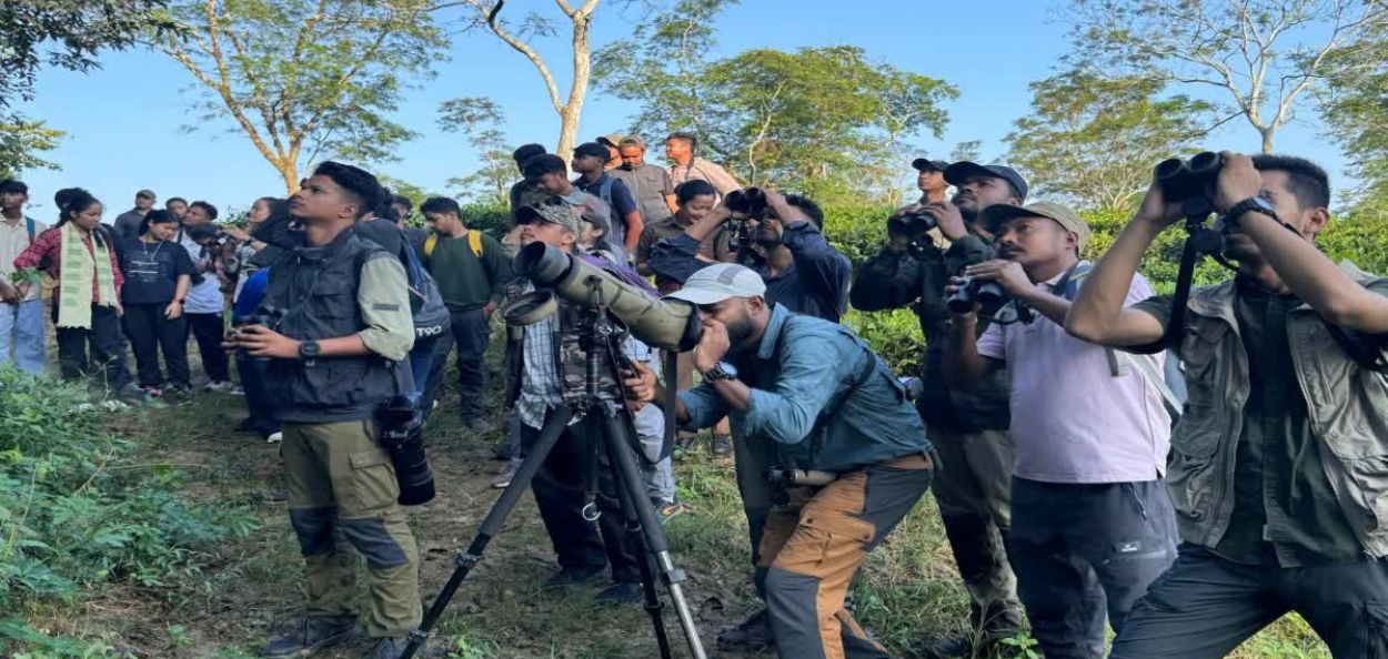 কাজিৰঙা ৰাষ্ট্ৰীয় উদ্যান; কাতি বিহু চৰাই গণনাত ১৪৬ টা প্ৰজাতি নথিভুক্ত