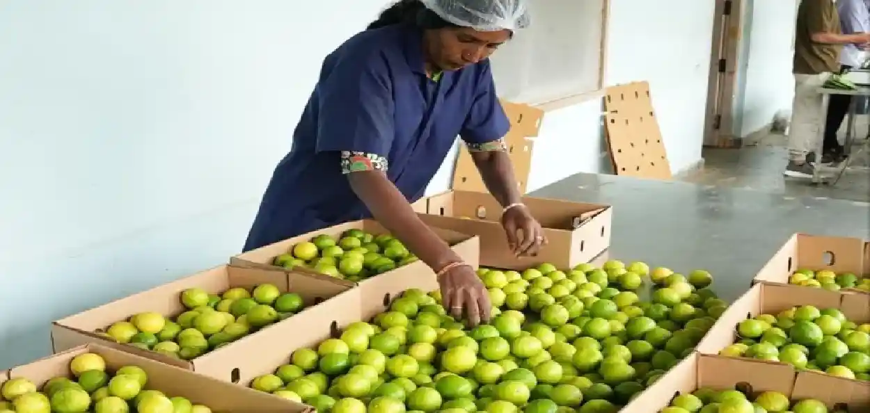 প্ৰতিনিধিত্বমুলক ফটো