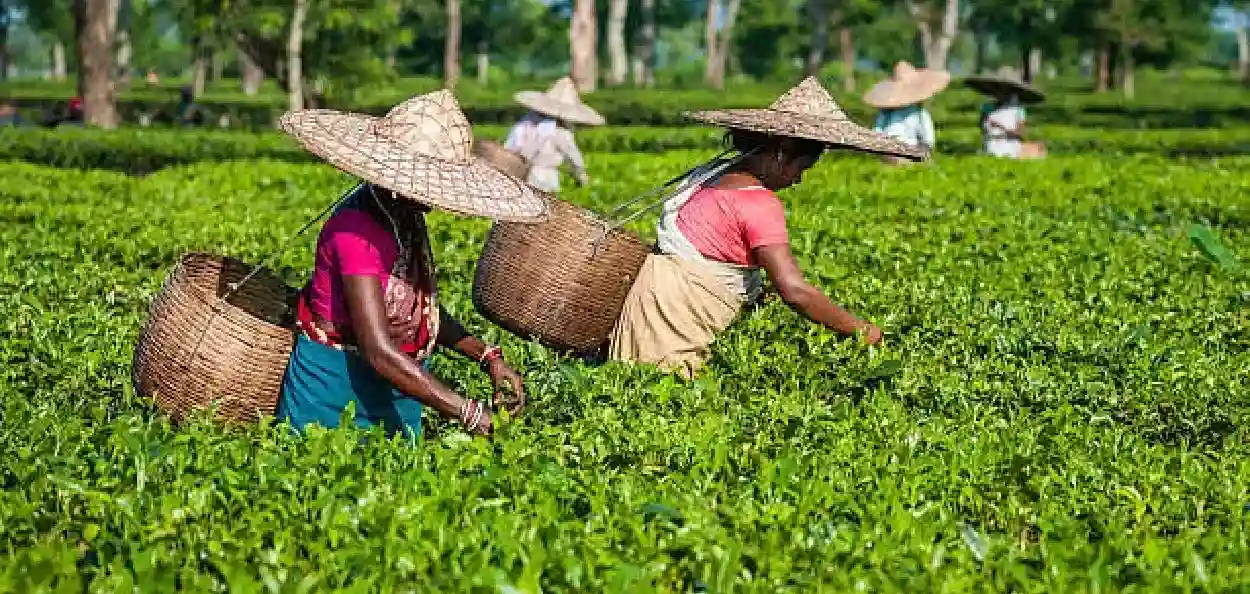 প্ৰতিনিধিত্বমুলক ফটো