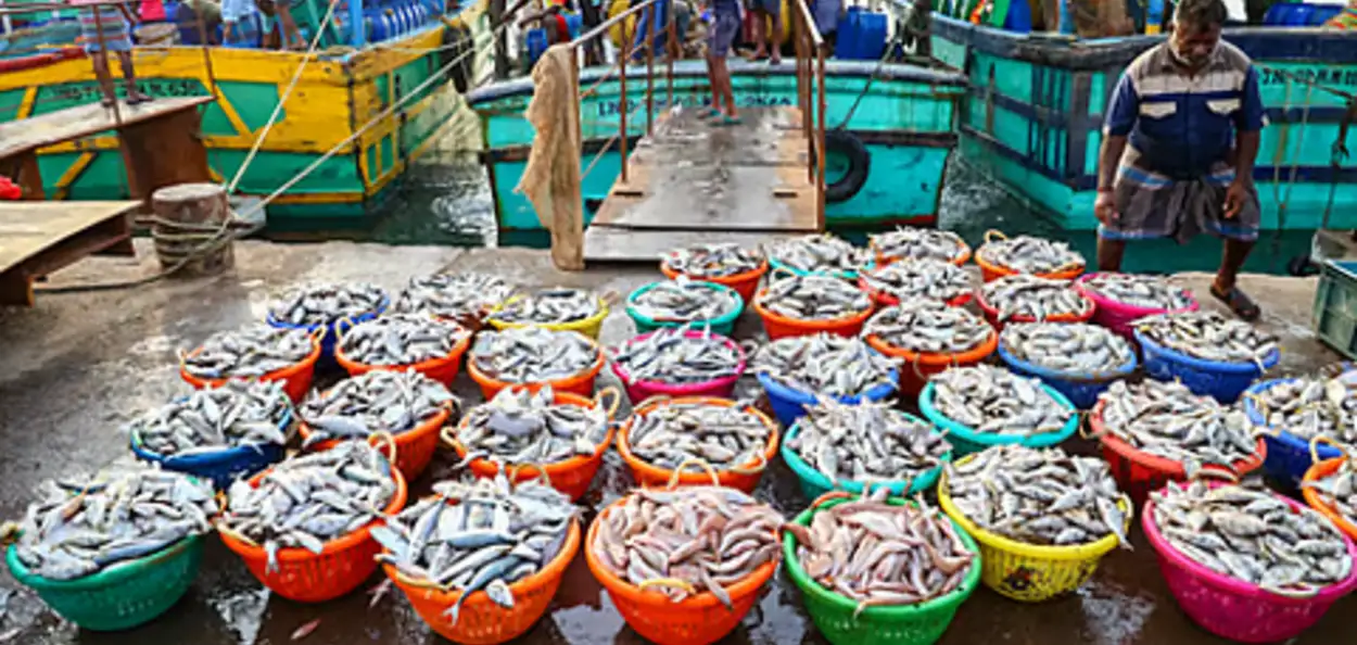 সাগৰীয় খাদ্যৰ চাহিদা বৃদ্ধি ভাৰতৰ