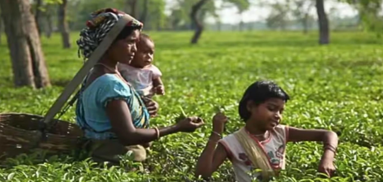 প্ৰতিনিধিত্বমূলক ছবি