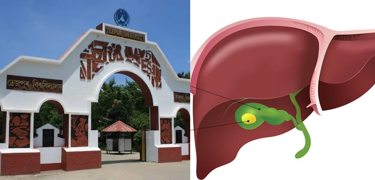 প্ৰতিনিধিত্বমূলক ছবি