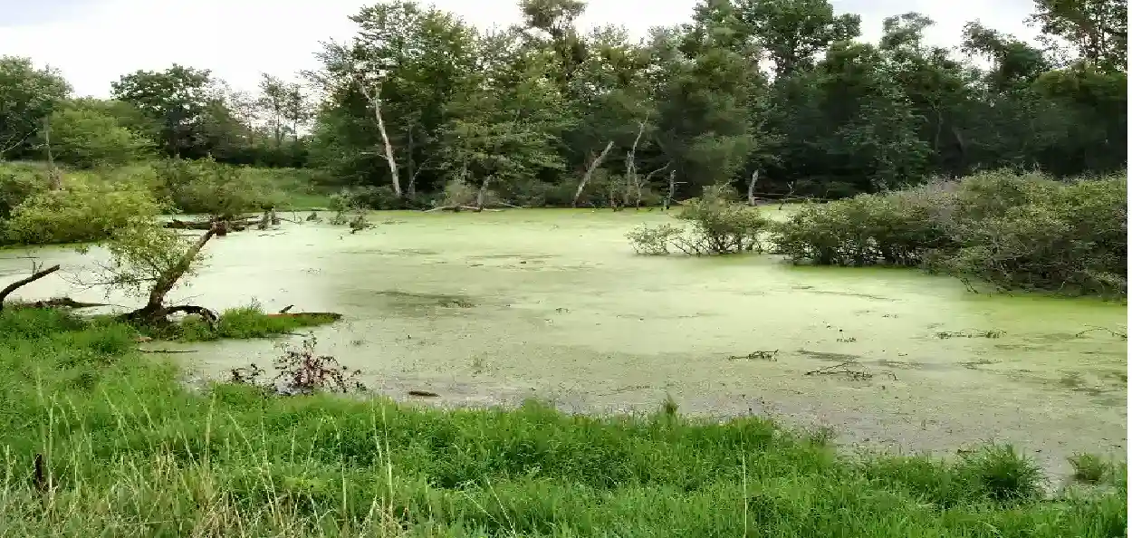 প্ৰতিনিধিত্বমুলক ফটো