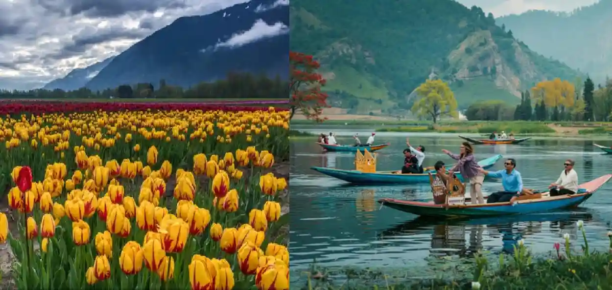 প্ৰতিনিধিত্বমুলক ফটো