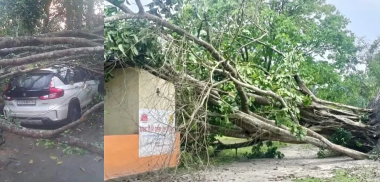 লেজাই কলাখোৱা অঞ্চলত ধুমুহাই বিধ্বংসী ৰূপ ধাৰণ কৰে