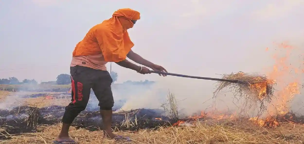 প্ৰতিনিধিত্বমূলক ছবি