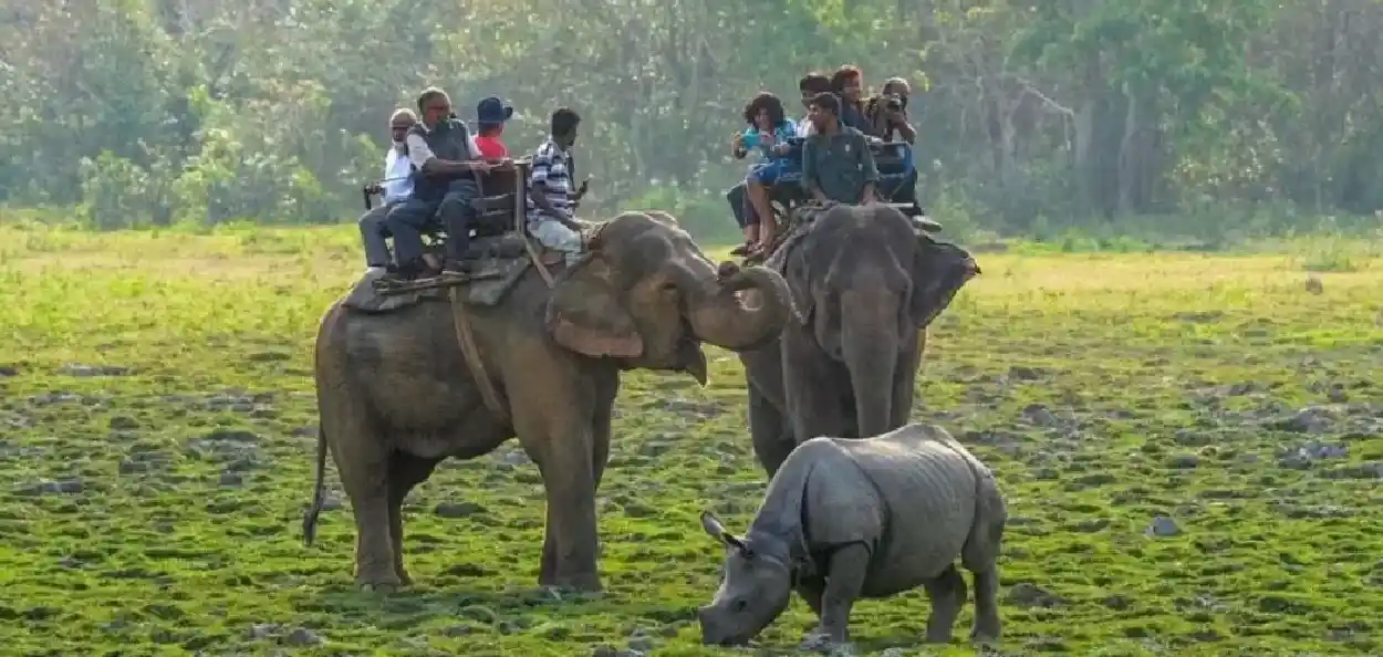 কাজিৰঙা ৰাষ্ট্ৰীয় উদ্যান