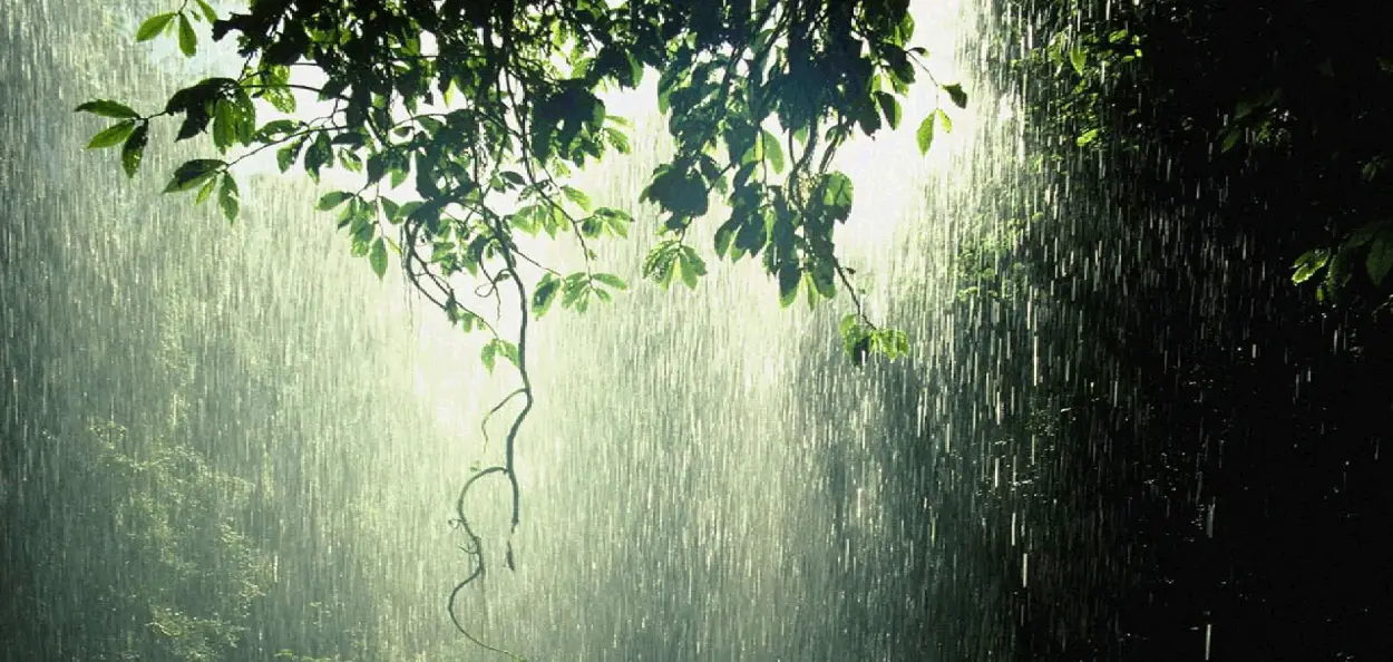 ৰাজ্যত বতৰে ল'ব কালৰূপ
