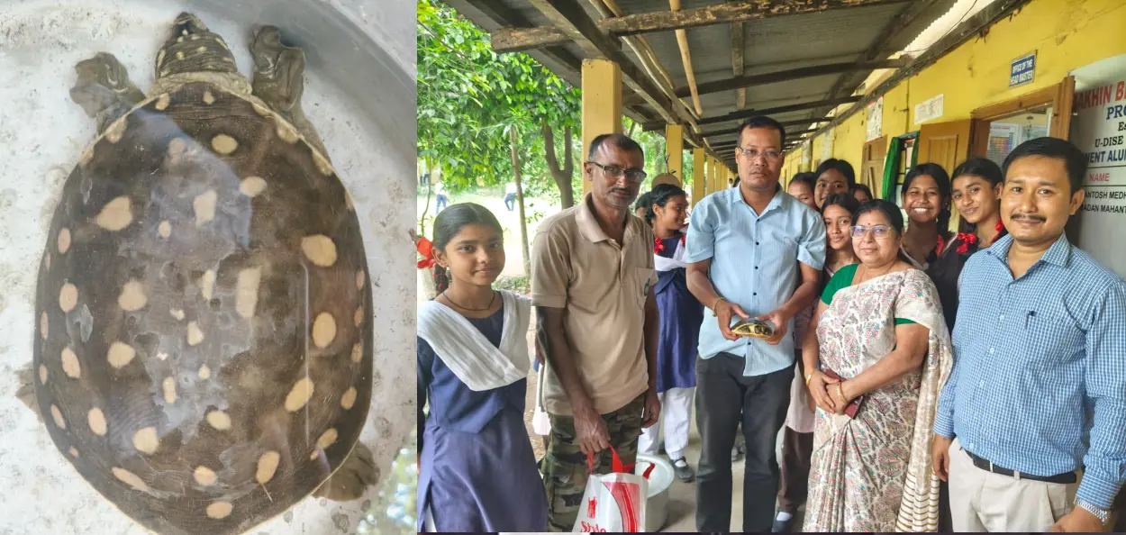 দক্ষিণ বেলতলা উচ্চ মাধ্যমিক বিদ্যালয়ত বিপদাপন্ন হালধীয়া ফুটুকী কাছ উদ্ধাৰ 