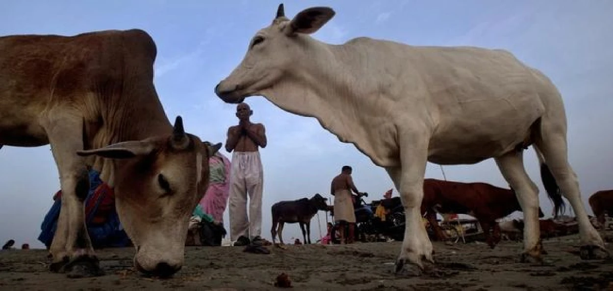 প্ৰতিনিধিত্বমুলক ফটো