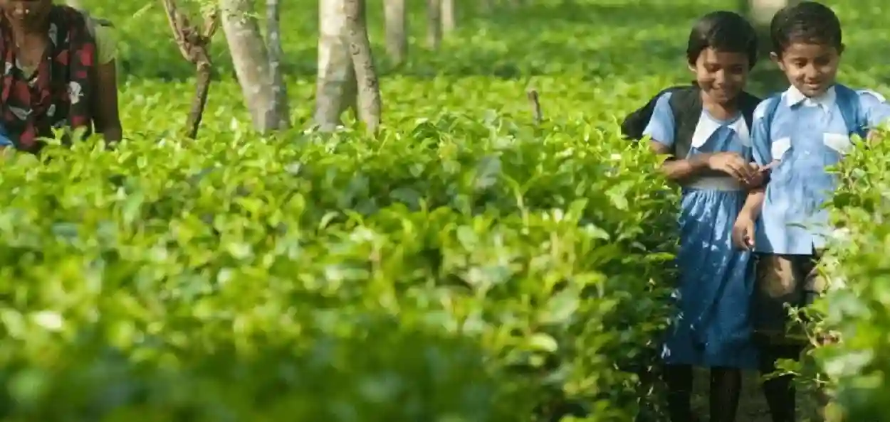 প্ৰতিনিধিত্বমুলক ফটো