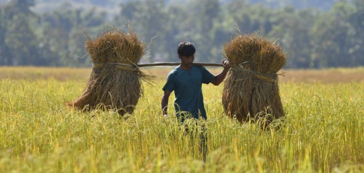 প্ৰতিনিধিত্বমূলক ছবি