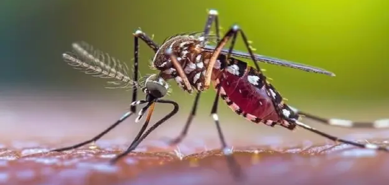 প্ৰতিনিধিত্বমূলক ছবি