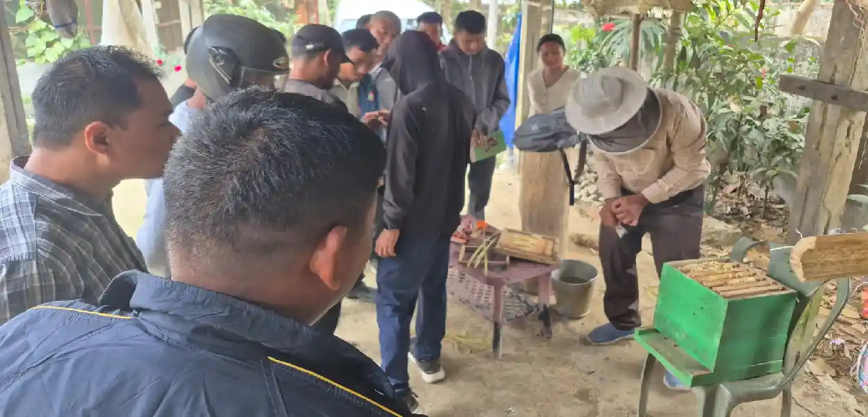 প্ৰতিনিধিত্বমূলক ছবি