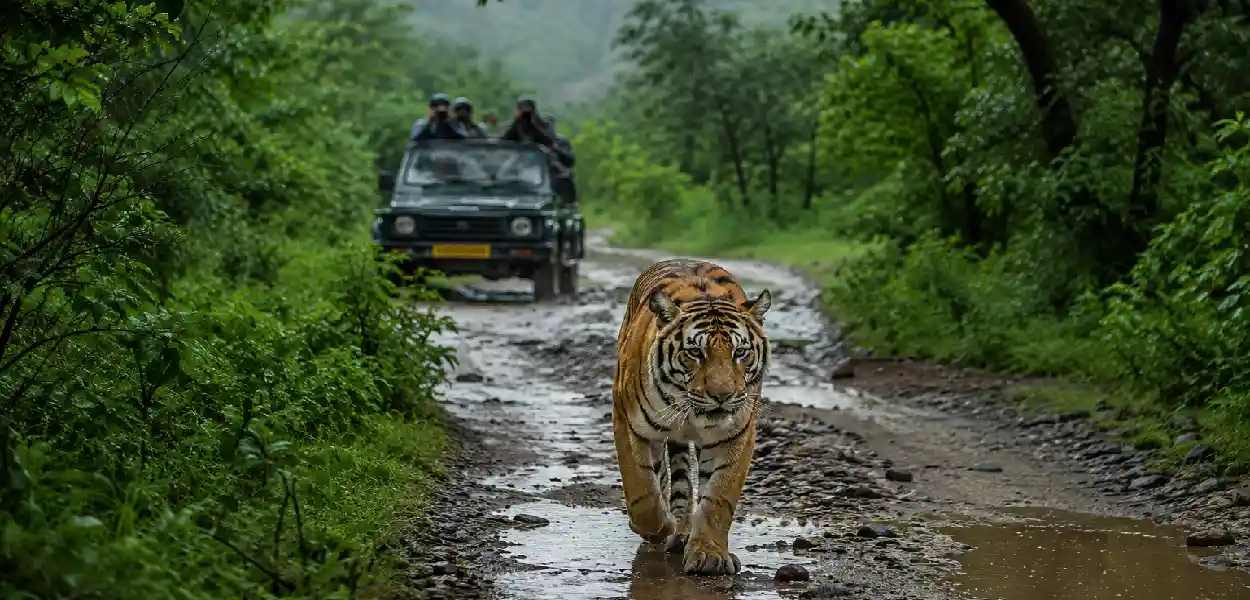 প্ৰতিনিধিত্বমূলক ছবি
