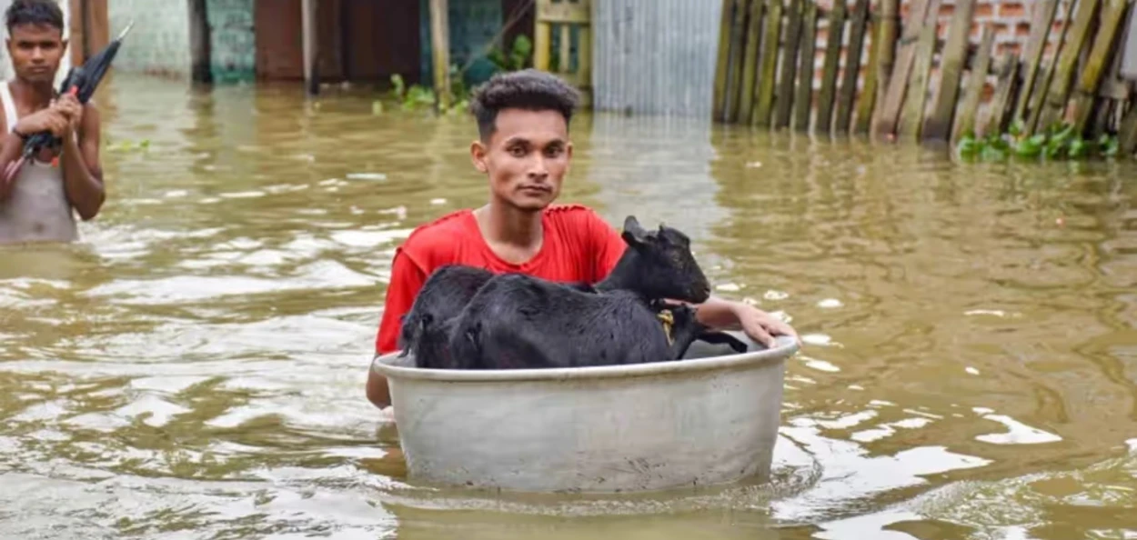 প্ৰতিনিধিত্বমূলক ছবি