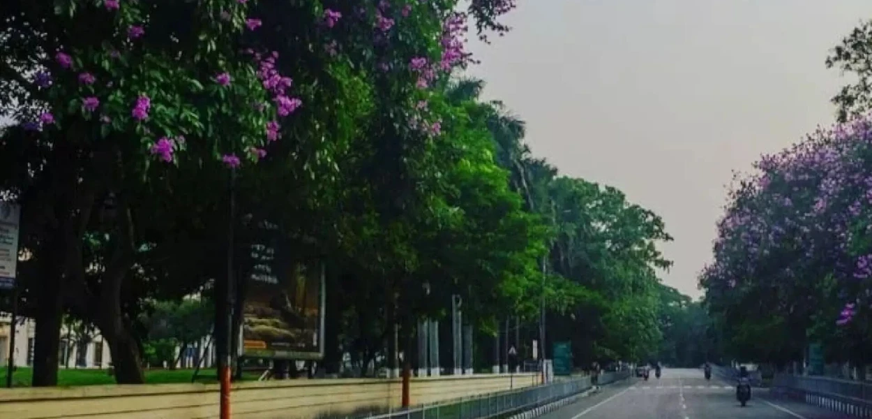 প্ৰতিনিধিত্বমূলক ছবি