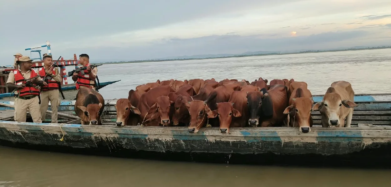 গোলপাৰা জিলাত তিনিজন সন্দেহযুক্ত গৰু সৰবৰাহকাৰীক গ্ৰেপ্তাৰ কৰাৰ লগতে ২০টা গৰু উদ্ধাৰ কৰা হয়