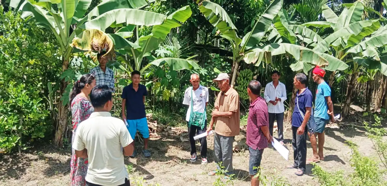 কাজিৰঙা আৰু কাৰ্বি আংলঙত কল খেতিক বিকল্প আৰু বহনক্ষম জীৱিকাৰ উৎস কৰাৰ প্ৰয়াস