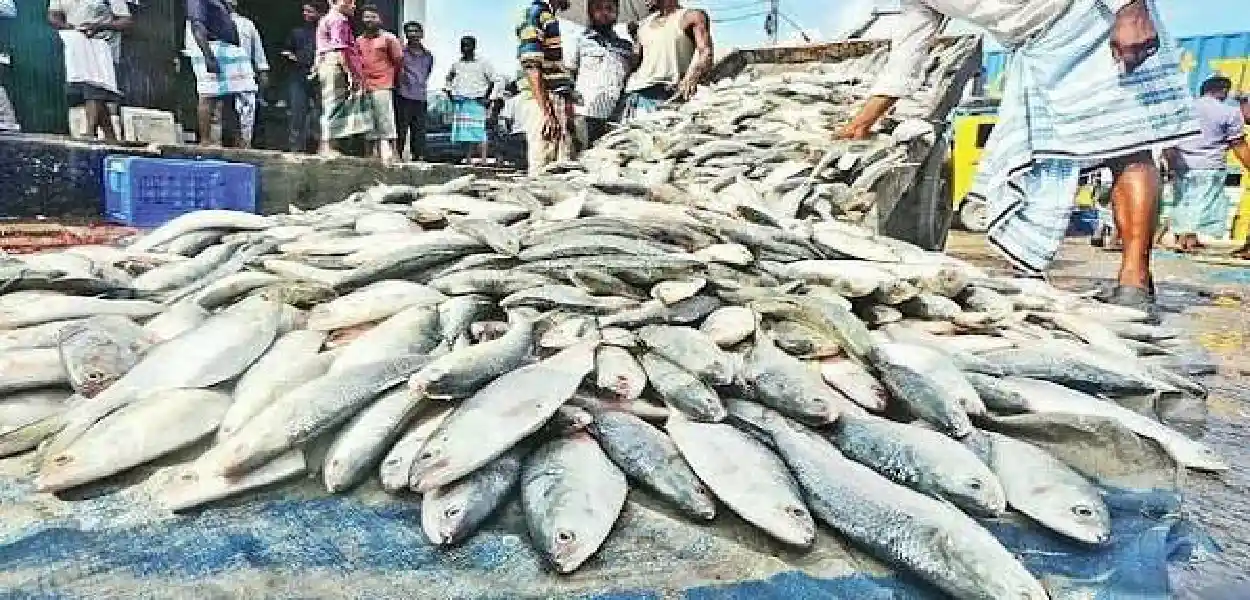 প্ৰতিনিধিত্বমূলক ছবি