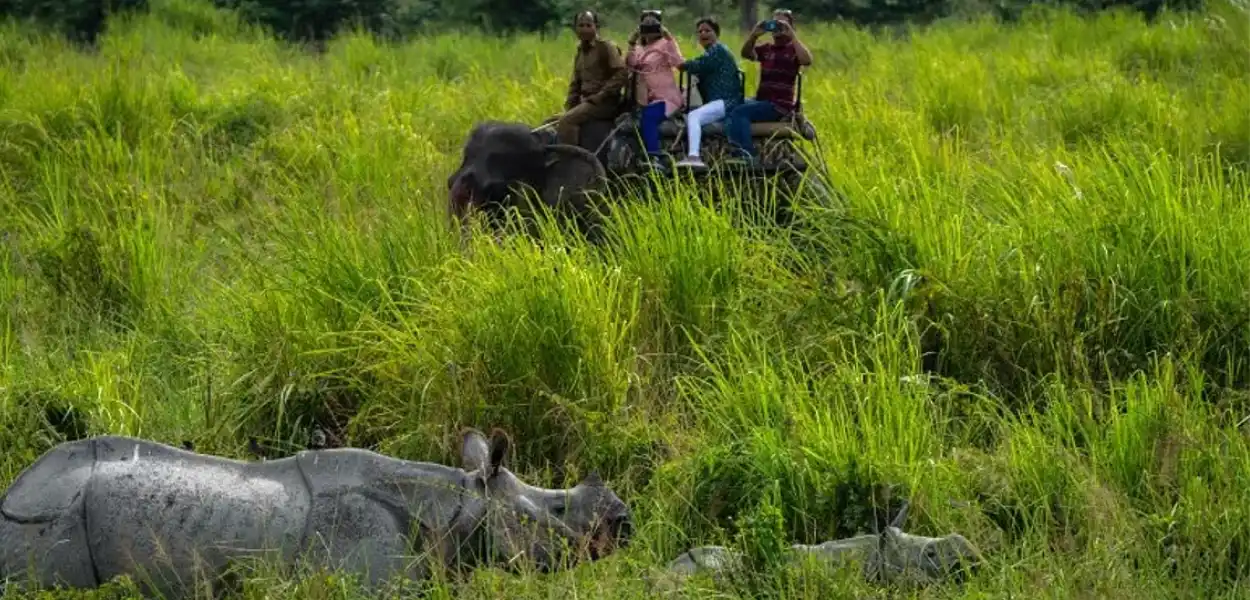 পবিতৰা বন্যপ্ৰাণী অভয়াৰণ্য 
