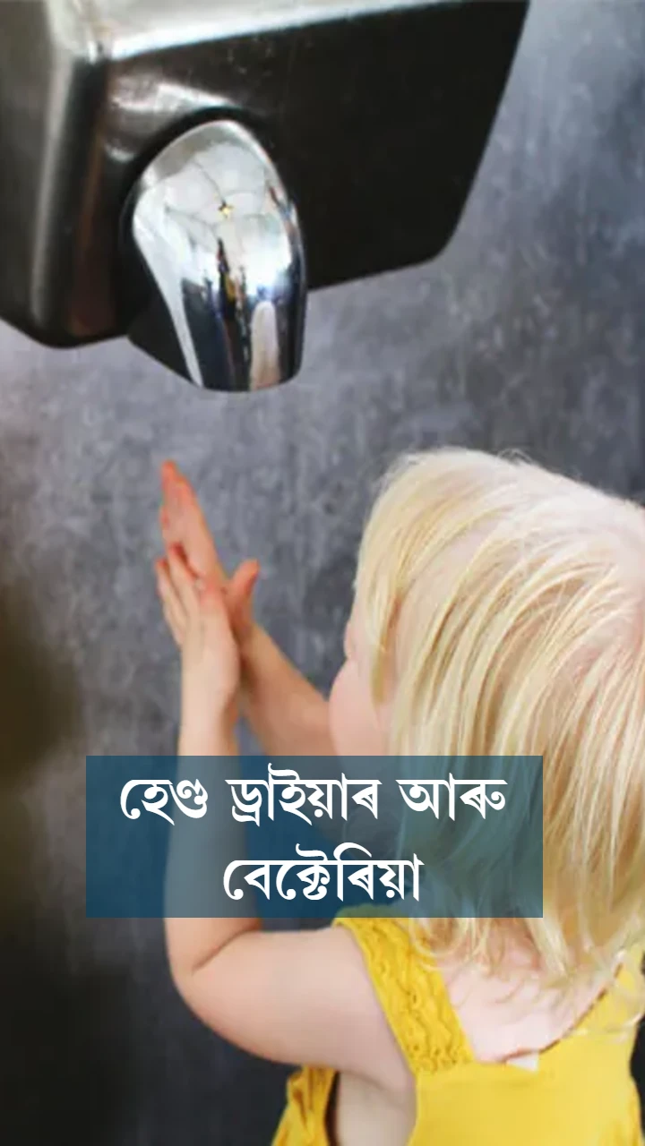 হেণ্ড ড্ৰাইয়াৰ আৰু বেক্টেৰিয়া