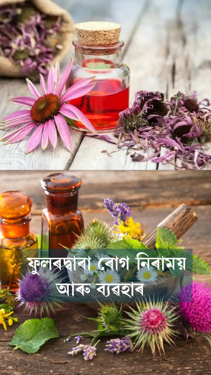 ফুলৰদ্বাৰা ৰোগ নিৰাময় আৰু ব্যৱহাৰ 
