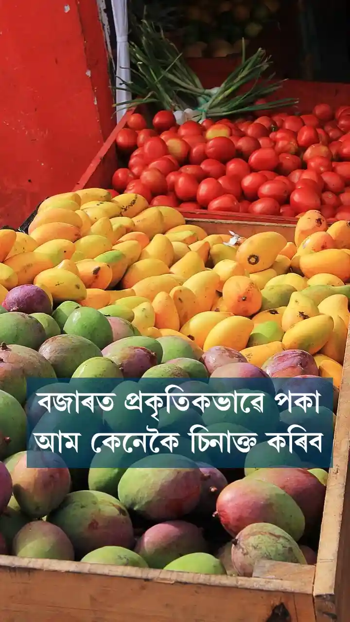বজাৰত প্ৰকৃতিকভাৱে পকা আম কেনেকৈ চিনাক্ত কৰিব 